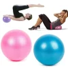 Discount Mad Ally 25cm Mini Exercise Ball