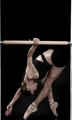 Best The Demi Barre SALE